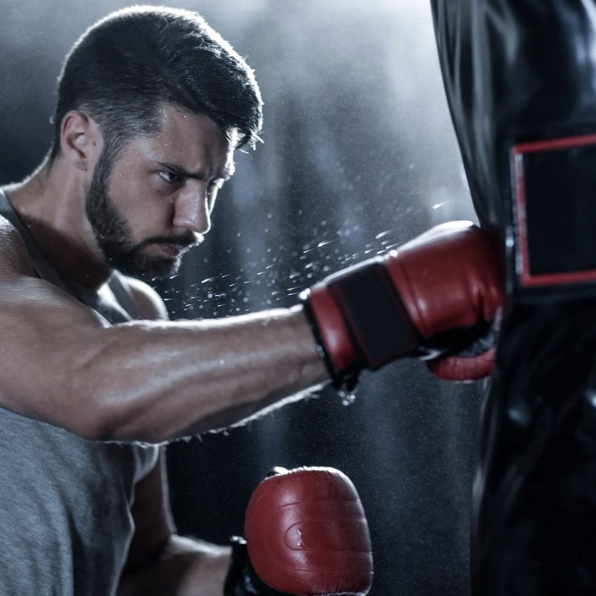 Boxeo en Factory of Fighters