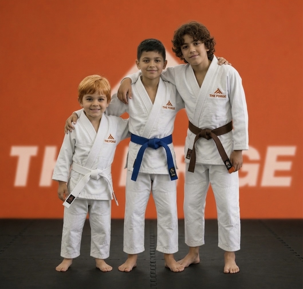 Tatami de Factory of Fighters Vicálvaro